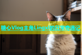 糖心Vlog主角Lingxl的日常奇遇记