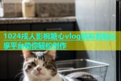 1024戌人影祝糖心vlog精彩剪辑分享平台助你轻松创作