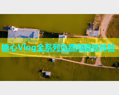 糖心Vlog全系列免费观看新体验  第2张